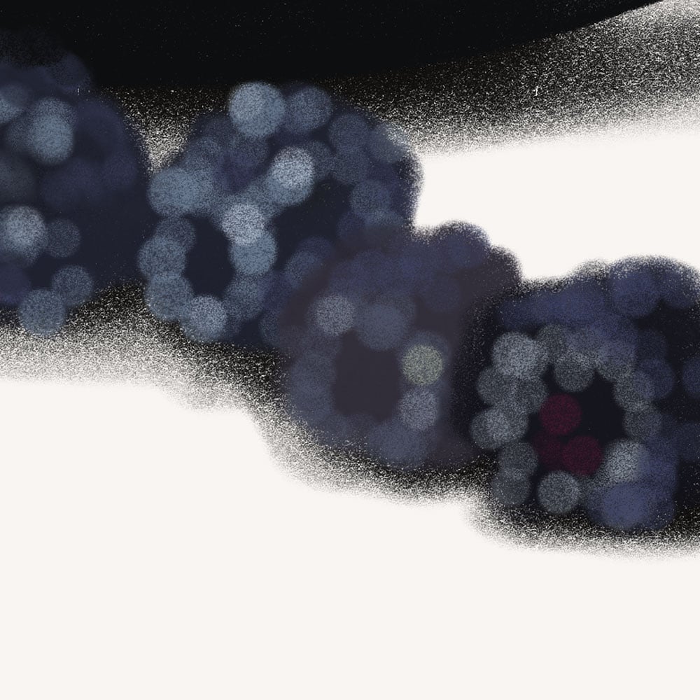 Automne-detail-1