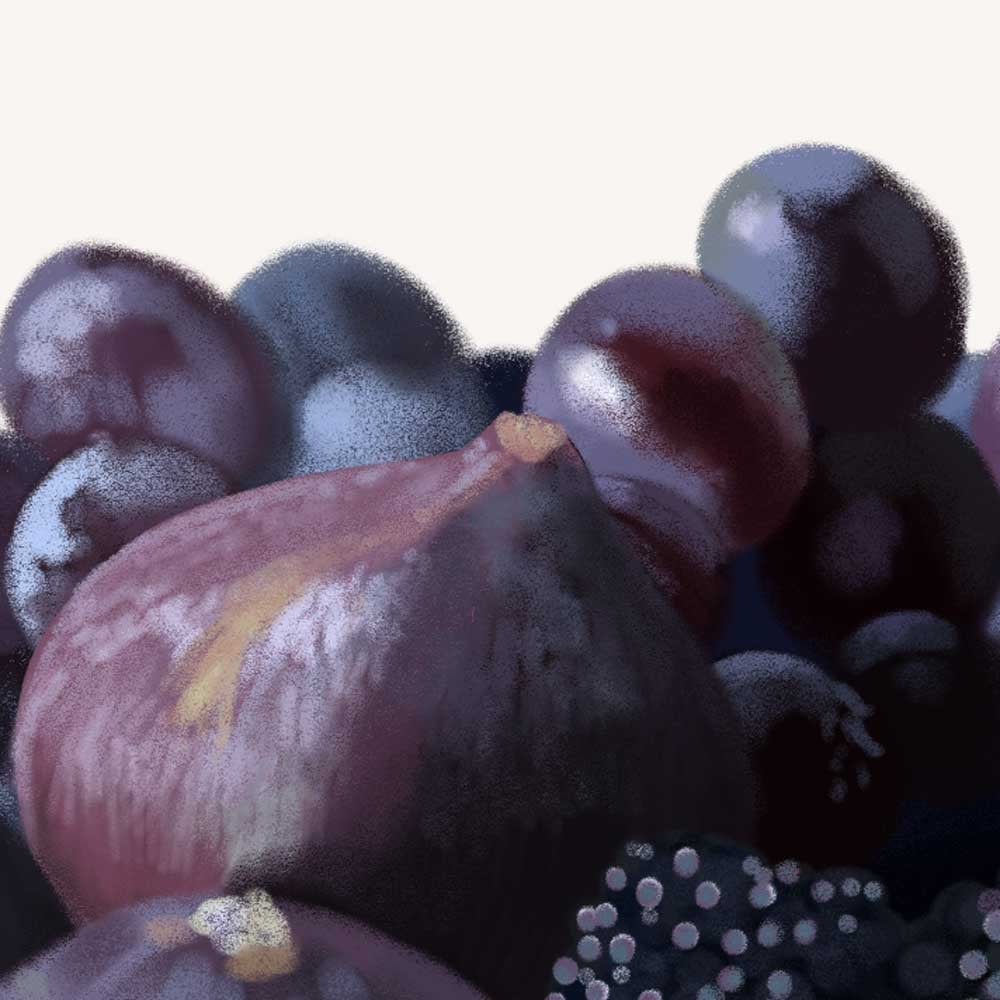 gros plan sur le dessin culinaire des figues, mûres et grappes de raisins, fruits d'automne