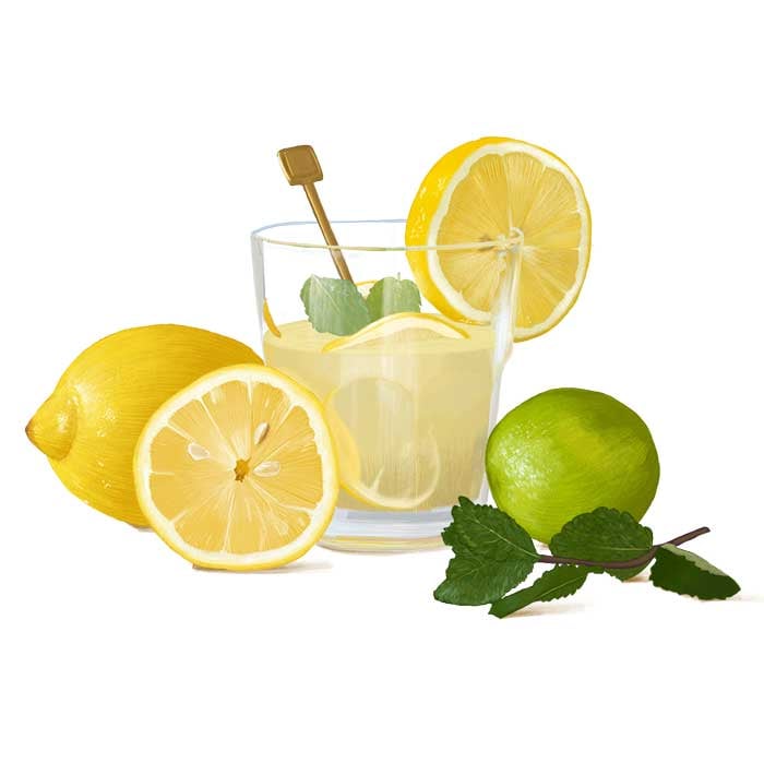 Dessin culinaire au crayon d'un verre de citronnade entouré d'un citron jaune et d'un citron vert