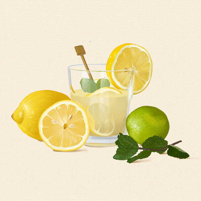 Dessin culinaire d'un verre de citronnade avec des citrons jaunes et des citrons verts. Style au crayon.