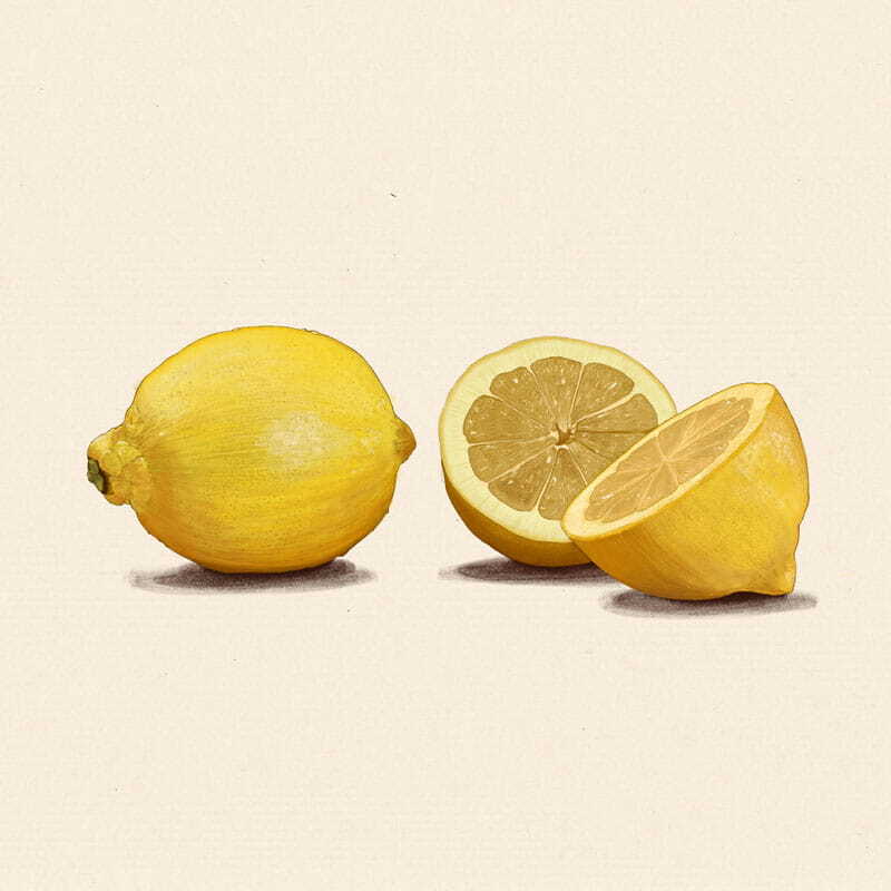 Dessin culinaire de citrons jaunes. Style réaliste au crayon.