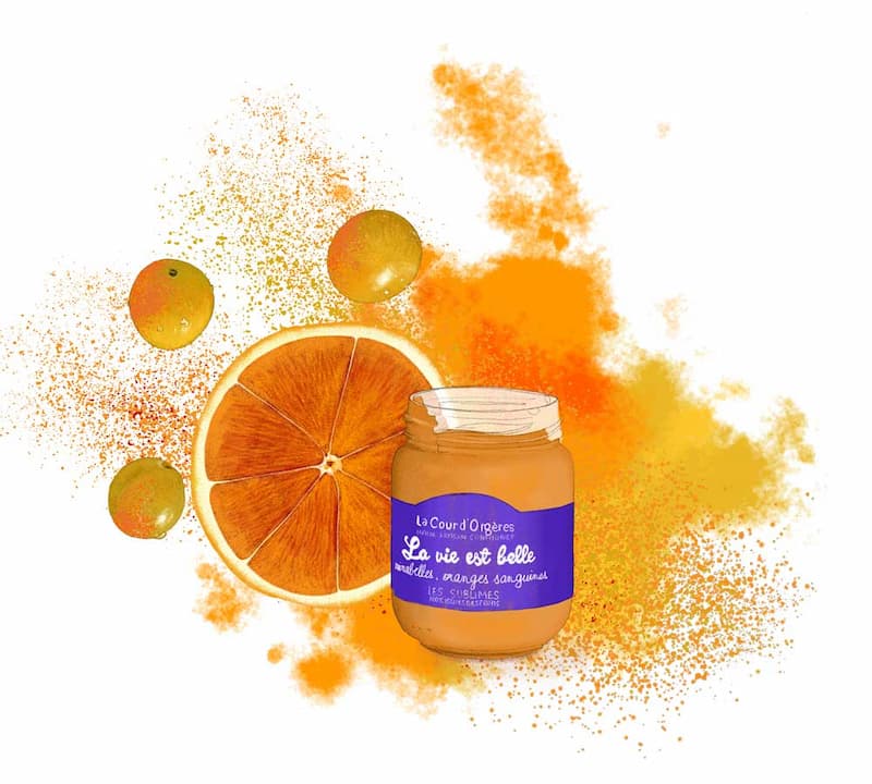Dessin culinaire : pot de confiture, mirabelles et orange