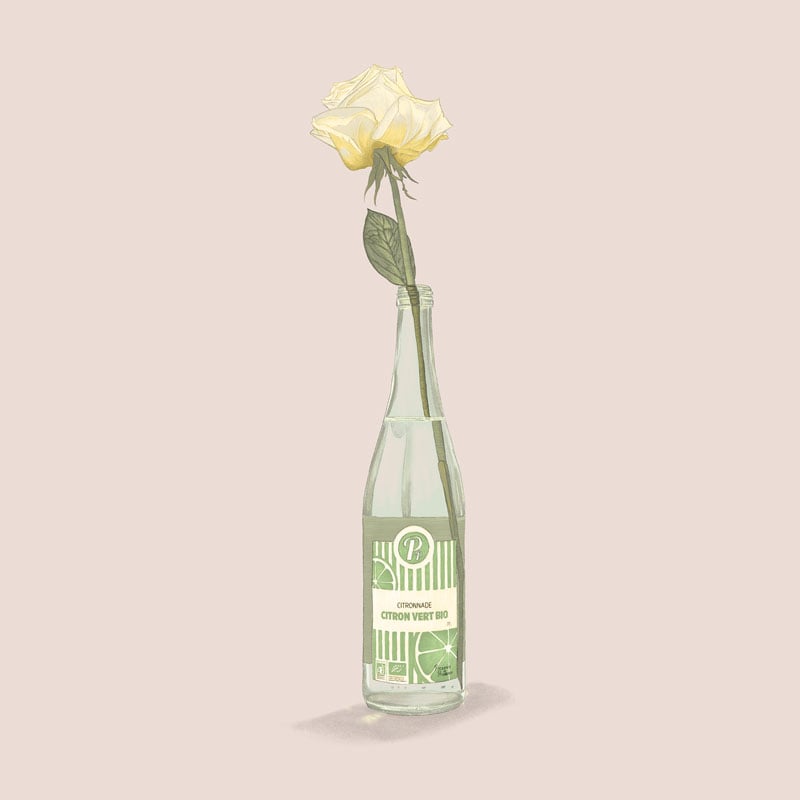 Dessin réaliste d'une bouteille vide de jus de fruit utilisée comme vase pour une rose