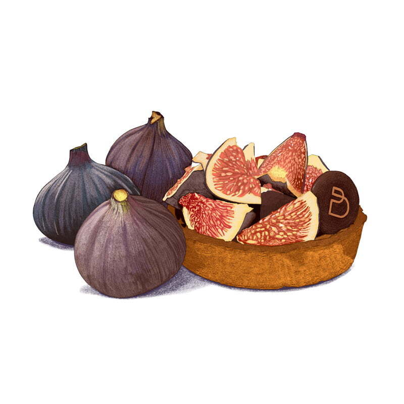Dessin culinaire réaliste de tarte aux figues et figues fraîches