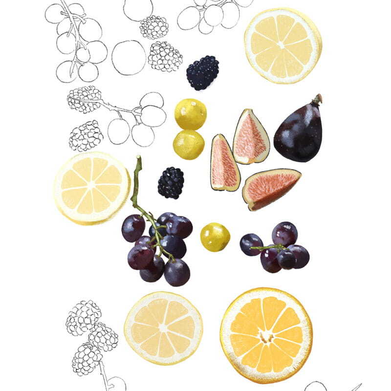 Dessin en frise avec des fruits d'automne : raisin, agrumes, mirabelles, figues, mûres