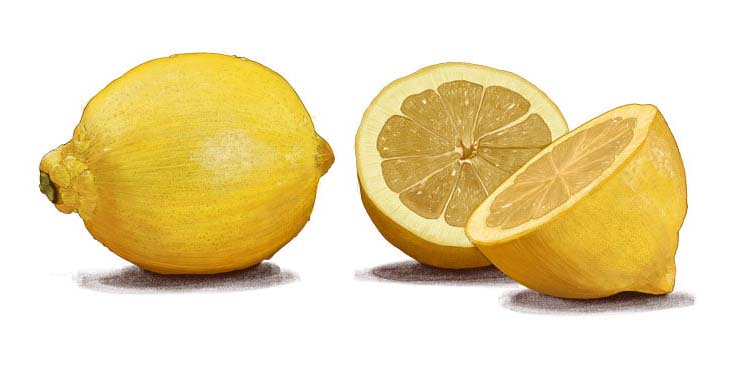 Dessin culinaire de citrons dans un style au crayon réaliste